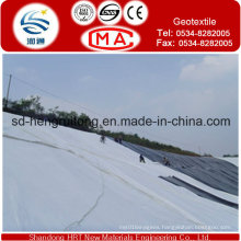 Europe Standard Polyester Needle Punched Nonwoven Geotextile/Nonwoven Geotextile